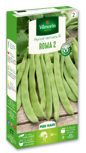 Haricot Nain Vert Plat Roma 2